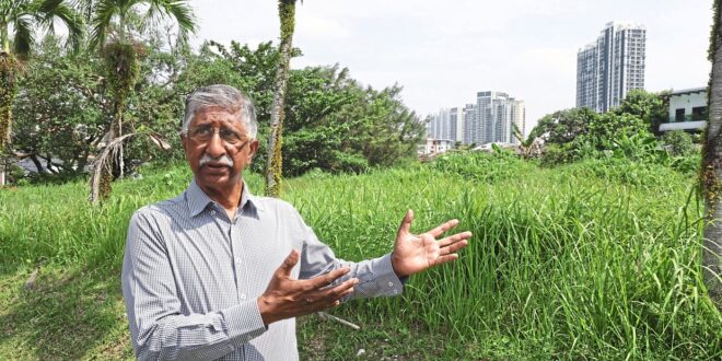 Vacant land breeds residents dengue fear