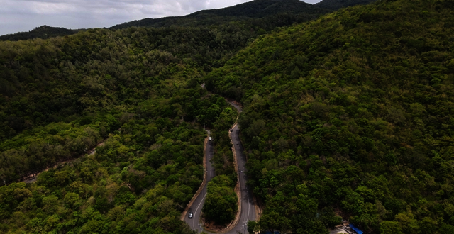 Vietnam secures two fold results in fighting desertification