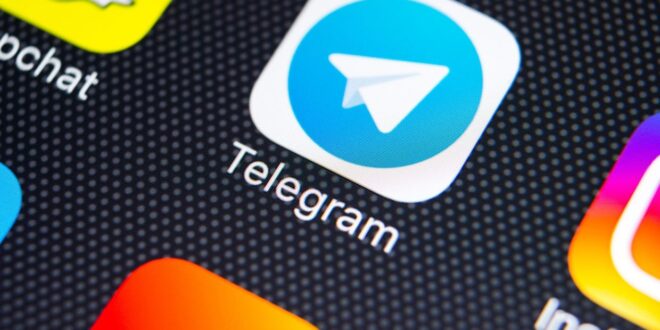 Why is Telegram so popular with young users