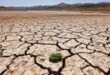 World hits streak of record temperatures as UN warns of