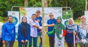 Agency plants tualang saplings to show importance of strong financial