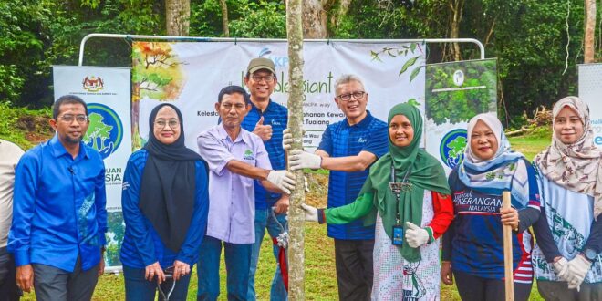 Agency plants tualang saplings to show importance of strong financial