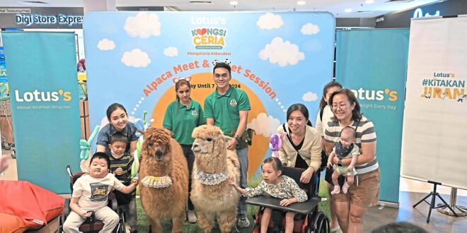 Alpacas star attraction at retailers second anniversary