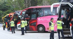 Crackdown on tour bus operators may extend beyond July 31