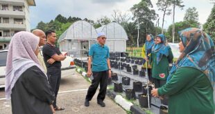 Cultivating urban farming among Pasir Gudang folk