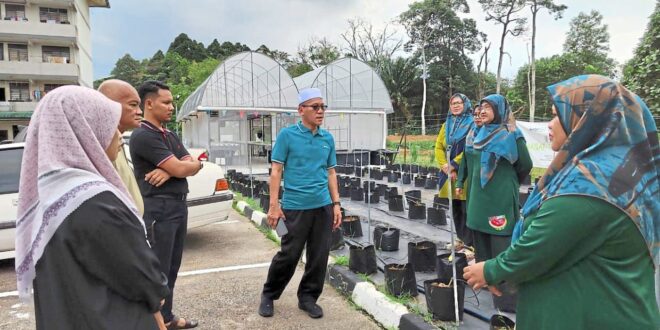 Cultivating urban farming among Pasir Gudang folk