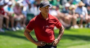 Golf Golf Woods turned down Ryder Cup captain offer to focus