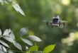 How ants are inspiring tomorrows autonomous drones