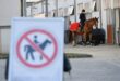 Other Sports Olympics Farewell to the horse obstacles ahead for Pentathlon