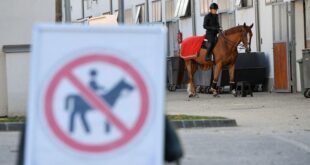 Other Sports Olympics Farewell to the horse obstacles ahead for Pentathlon