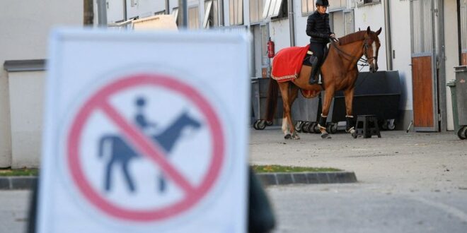 Other Sports Olympics Farewell to the horse obstacles ahead for Pentathlon