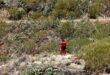 Spanish rescuers find remains thought to be of missing Briton