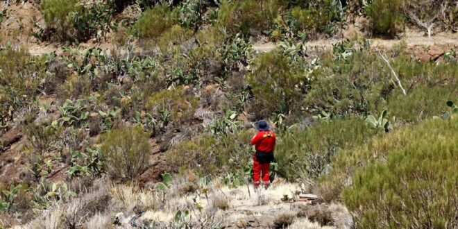 Spanish rescuers find remains thought to be of missing Briton