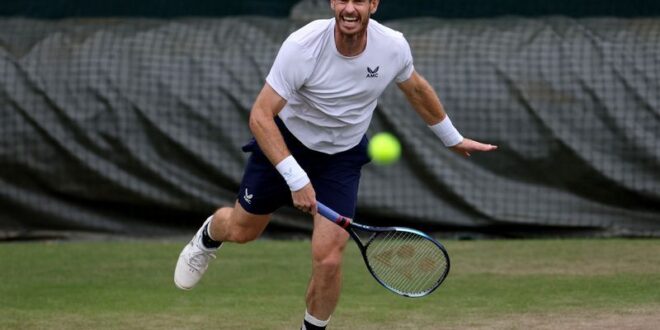 Tennis Tennis Murray pulls out of Wimbledon singles to play doubles