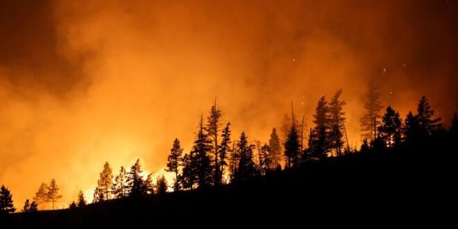 Wildfires in Canadas Alberta British Columbia prompt evacuation orders