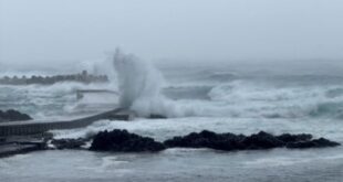 Japans eastern region orders evacuations as Typhoon Ampil approaches