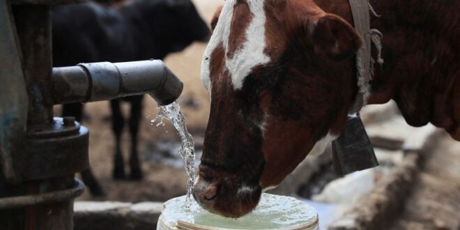 Nearly 68 million suffering from drought in Southern Africa says