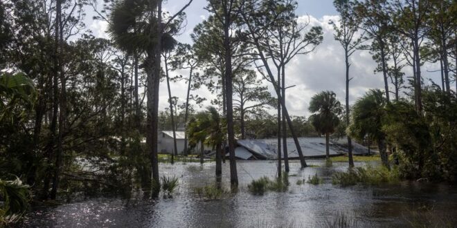 Hurricane Helene kills at least 44 and cuts a swath