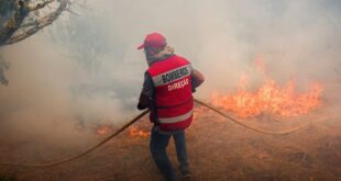 Portugal asks Europe for help as wildfires rage