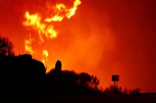 Portuguese police arrest 14 suspected arsonists over wildfires