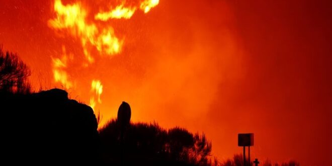 Portuguese police arrest 14 suspected arsonists over wildfires