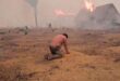 Bolivia wildfires burn record area scorching homes and farms