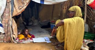 MSF suspends support to famine stricken camp in Sudans Darfur