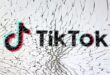 TikTok hopes for lifeline from US President elect Trump who once