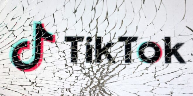 TikTok hopes for lifeline from US President elect Trump who once